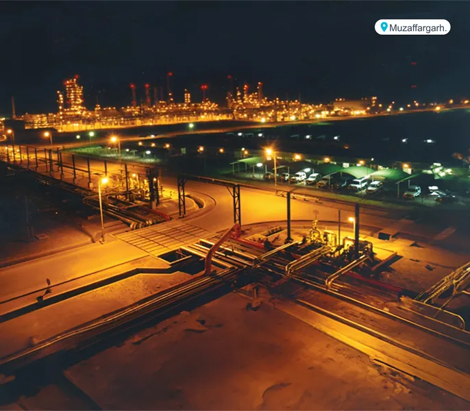 Chemicals & Petrochemicals Project 1