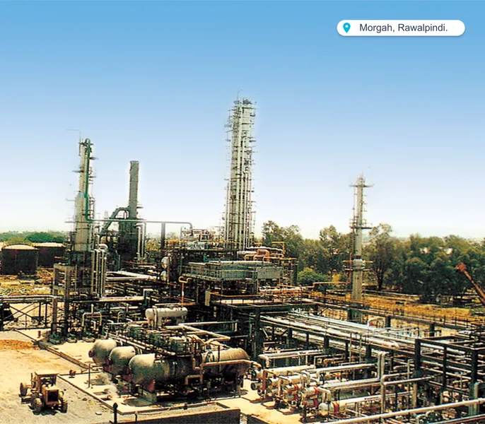 Chemicals & Petrochemicals Project 2