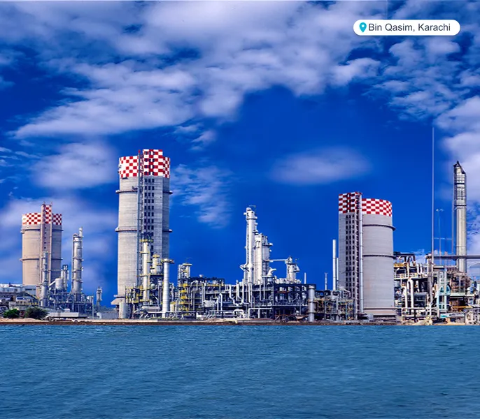 Chemicals & Petrochemicals Project 3