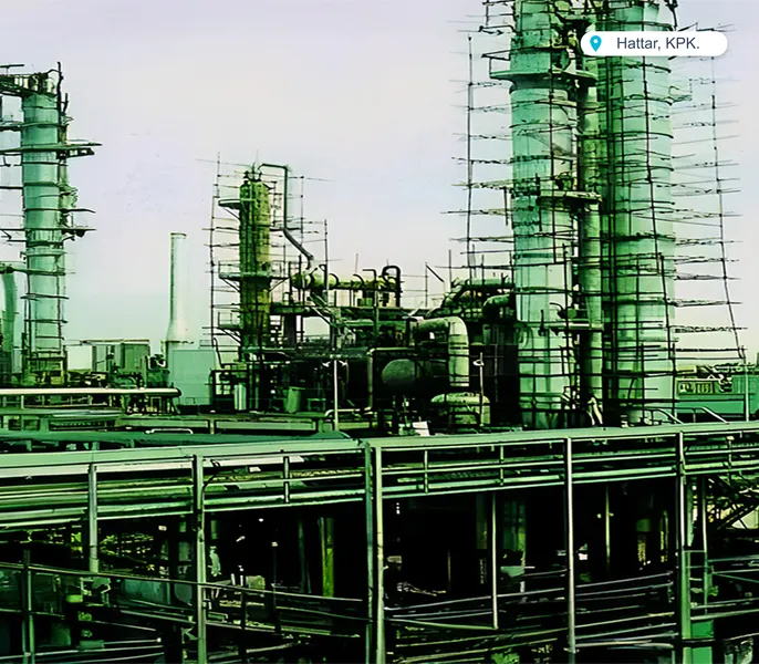 Chemicals & Petrochemicals Project 4